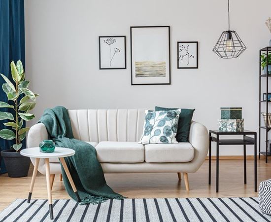 A living room with a white couch, a green throw, and a potted plant.